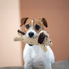 Laboni: Doggy Dog