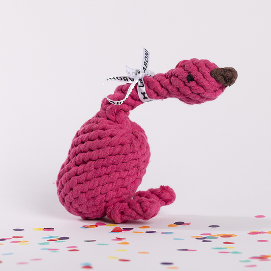 Laboni: Franzi Flamingo