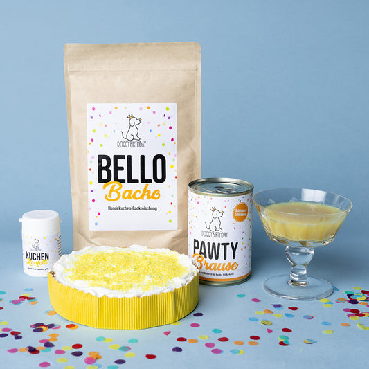 Golden PAWTY-Paket - Hundegeburtstag deluxe!